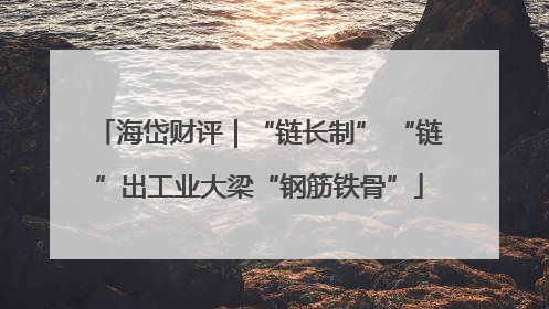 海岱财评｜“链长制” “链”出工业大梁“钢筋铁骨”