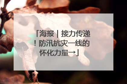 海报｜接力传递！防汛抗灾一线的怀化力量→