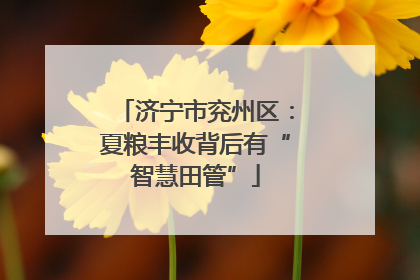 济宁市兖州区：夏粮丰收背后有“智慧田管”