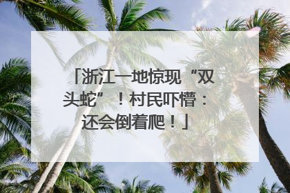 浙江一地惊现“双头蛇”！村民吓懵：还会倒着爬！