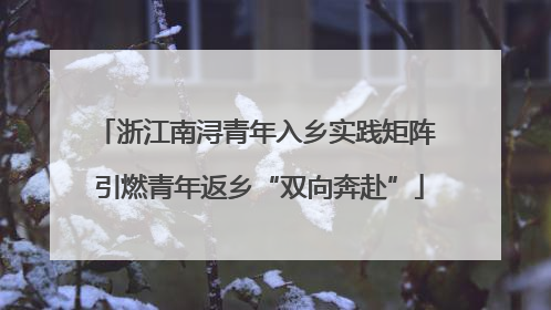 浙江南浔青年入乡实践矩阵 引燃青年返乡“双向奔赴”