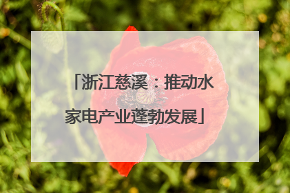 浙江慈溪：推动水家电产业蓬勃发展