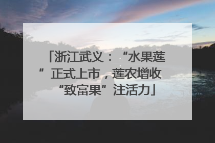 浙江武义：“水果莲”正式上市，莲农增收“致富果”注活力