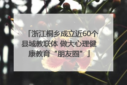 浙江桐乡成立近60个县域教联体 做大心理健康教育“朋友圈”