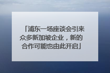 浦东一场座谈会引来众多新加坡企业，新的合作可能也由此开启