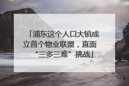 浦东这个人口大镇成立首个物业联盟，直面“三多三难”挑战