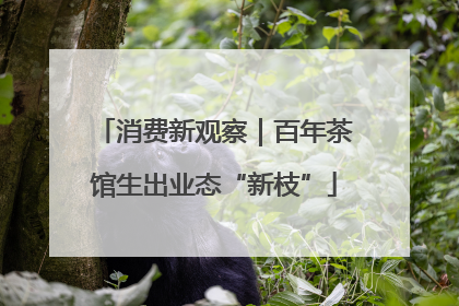 消费新观察｜百年茶馆生出业态“新枝”