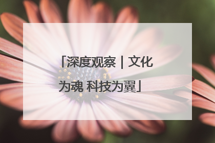 深度观察｜文化为魂 科技为翼
