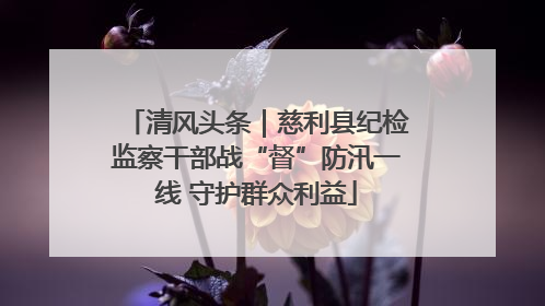 清风头条｜慈利县纪检监察干部战“督”防汛一线 守护群众利益