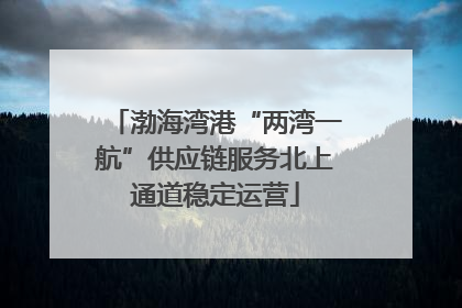 渤海湾港“两湾一航”供应链服务北上通道稳定运营