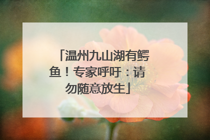 温州九山湖有鳄鱼！专家呼吁：请勿随意放生