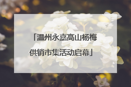 温州永嘉高山杨梅供销市集活动启幕