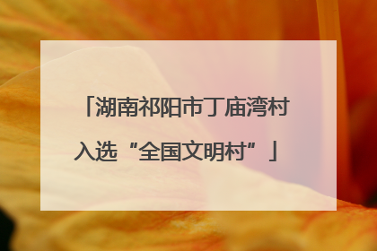 湖南祁阳市丁庙湾村入选“全国文明村”