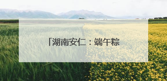 湖南安仁：端午粽香里的藏蓝坚守