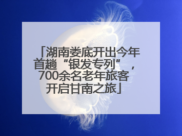湖南娄底开出今年首趟“银发专列”，700余名老年旅客开启甘南之旅