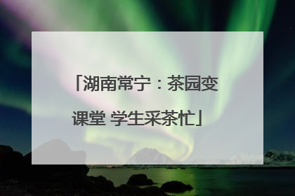 湖南常宁：茶园变课堂 学生采茶忙