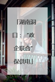 湖南洞口：“政企联合”保供电