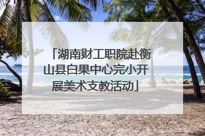 湖南财工职院赴衡山县白果中心完小开展美术支教活动