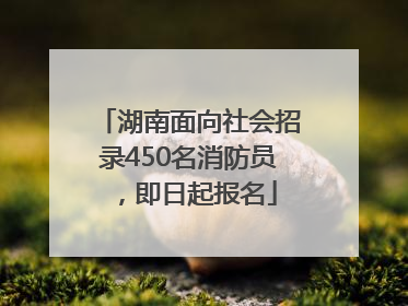 湖南面向社会招录450名消防员，即日起报名