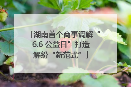 湖南首个商事调解“6.6 公益日”打造解纷“新范式”