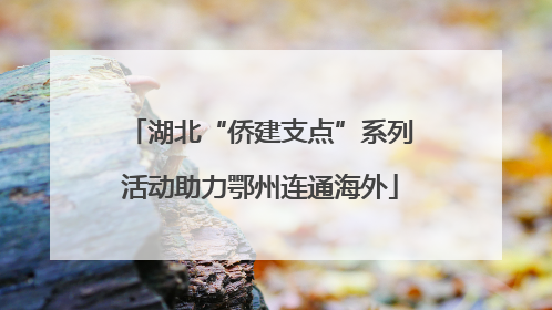 湖北“侨建支点”系列活动助力鄂州连通海外