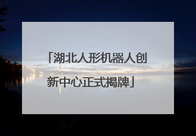 湖北人形机器人创新中心正式揭牌