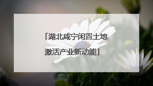 湖北咸宁闲置土地激活产业新动能