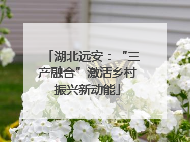 湖北远安：“三产融合”激活乡村振兴新动能