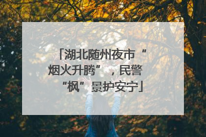 湖北随州夜市“烟火升腾”，民警“枫”景护安宁