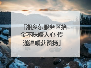 湘乡东服务区拾金不昧暖人心 传递温暖获赞扬