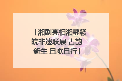 湘剧亮相湘鄂赣皖非遗联展 古韵新生 且歌且行
