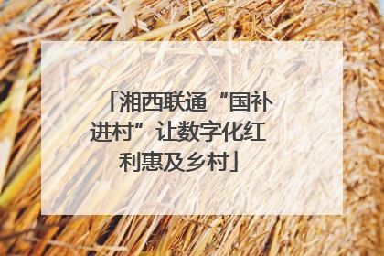 湘西联通“国补进村”让数字化红利惠及乡村