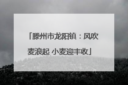 滕州市龙阳镇：风吹麦浪起 小麦迎丰收