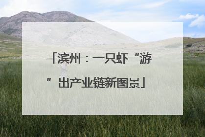 滨州：一只虾“游”出产业链新图景