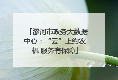 漯河市政务大数据中心：“云”上约农机 服务有保障