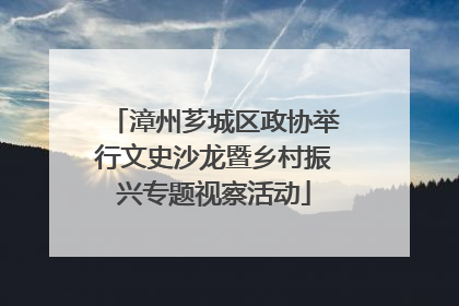 漳州芗城区政协举行文史沙龙暨乡村振兴专题视察活动