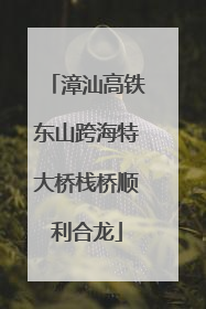 漳汕高铁东山跨海特大桥栈桥顺利合龙