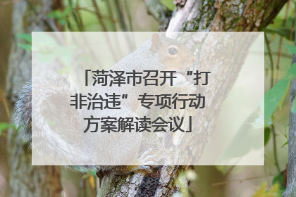 菏泽市召开“打非治违”专项行动方案解读会议