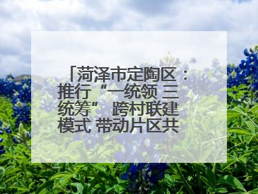 菏泽市定陶区：推行“一统领 三统筹” 跨村联建模式 带动片区共同富裕
