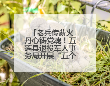 老兵传薪火 丹心铸党魂！五莲县退役军人事务局开展“五个一”特色活动