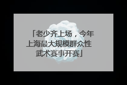 老少齐上场，今年上海最大规模群众性武术赛事开赛