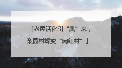 老屋活化引“凤”来，梨园村蝶变“网红村”
