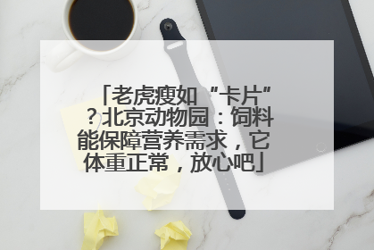 老虎瘦如“卡片”？北京动物园：饲料能保障营养需求，它体重正常，放心吧