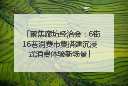 聚焦廊坊经洽会：6街16巷消费市集搭建沉浸式消费体验新场景