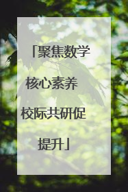 聚焦数学核心素养 校际共研促提升