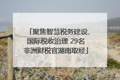 聚焦智慧税务建设、国际税收治理 29名非洲财税官湖南取经