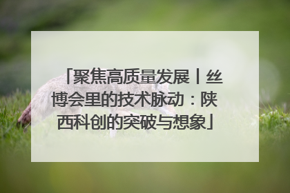 聚焦高质量发展丨丝博会里的技术脉动：陕西科创的突破与想象