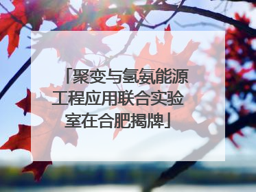 聚变与氢氨能源工程应用联合实验室在合肥揭牌