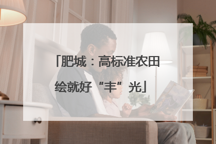 肥城：高标准农田绘就好“丰”光