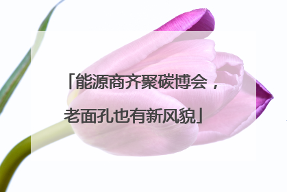 能源商齐聚碳博会，老面孔也有新风貌